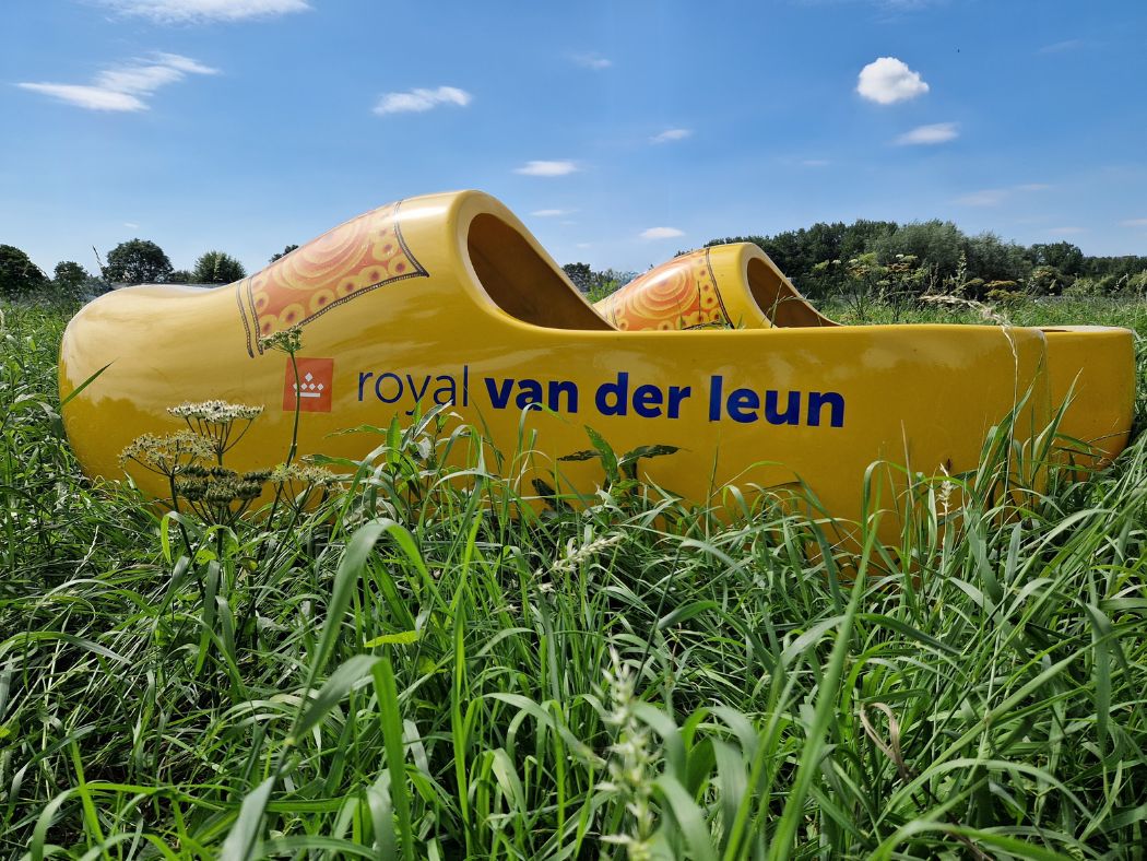 royal-van-der-leun-klompen-clogs-in-het-gras-hollandse-plaats-blauwe-lucht-groen-gras-1
